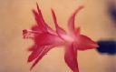 Image00011.jpg